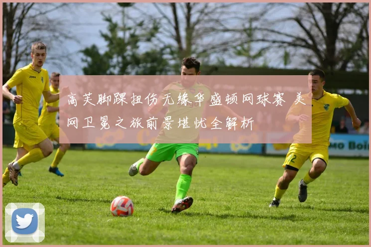 高芙脚踝扭伤无缘华盛顿网球赛 美网卫冕之旅前景堪忧全解析