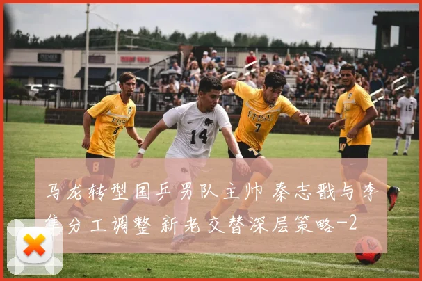 马龙转型国乒男队主帅 秦志戬与李隼分工调整 新老交替深层策略