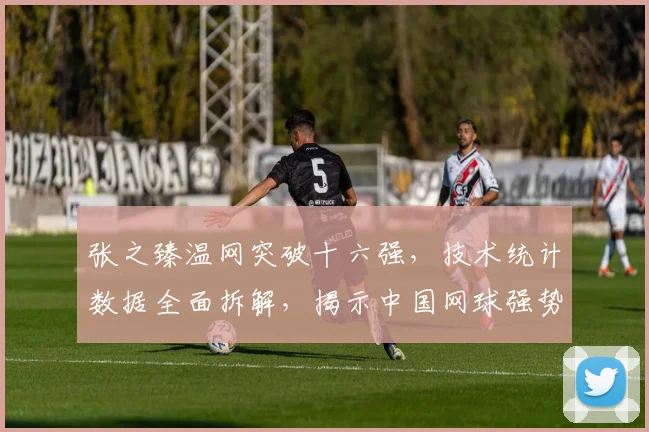 张之臻温网突破十六强,技术统计数据全面拆解,揭示中国网球强势崛起之路