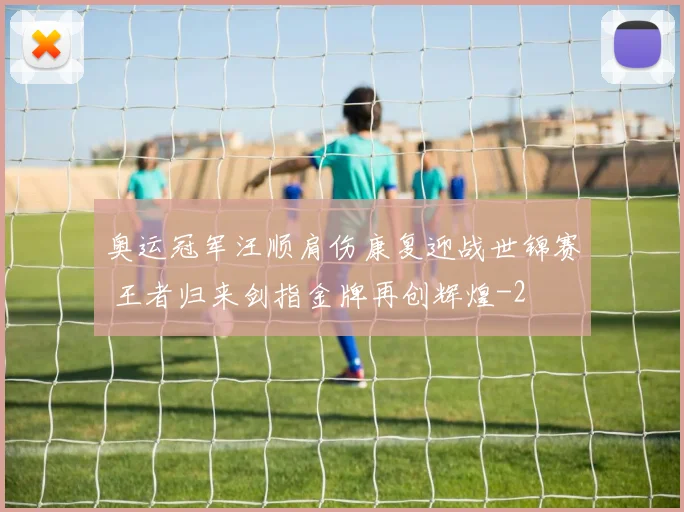 奥运冠军汪顺肩伤康复迎战世锦赛 王者归来剑指金牌再创辉煌