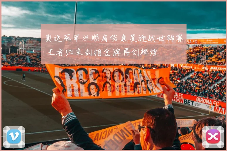奥运冠军汪顺肩伤康复迎战世锦赛 王者归来剑指金牌再创辉煌